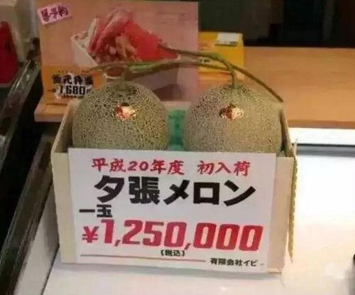 吃瓜群众娱乐大百科,揭秘娱乐圈幕后故事与热点事件